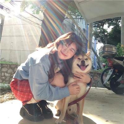 崖边的迎春花第一部